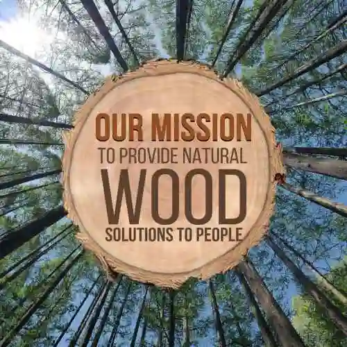 GSM Mission